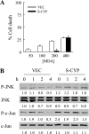 Fig. 9.