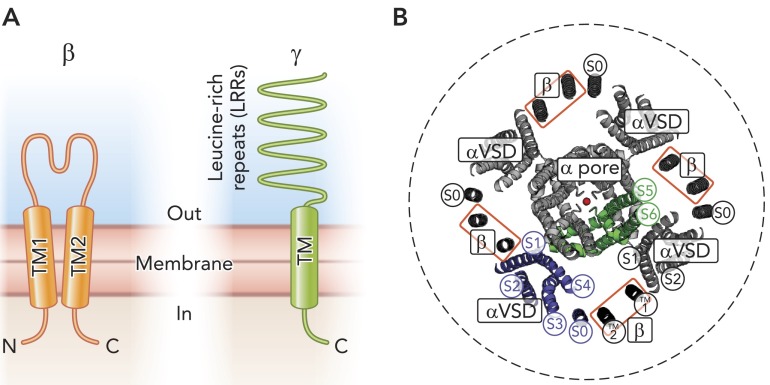 FIGURE 4.