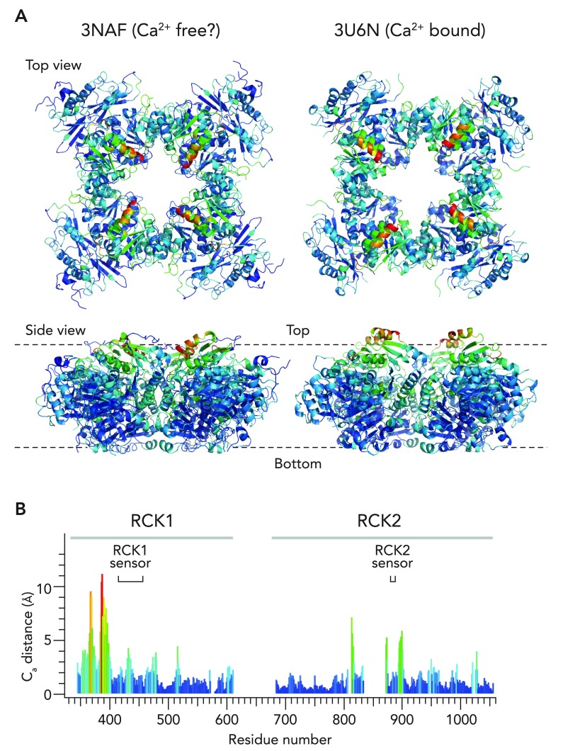 FIGURE 3.