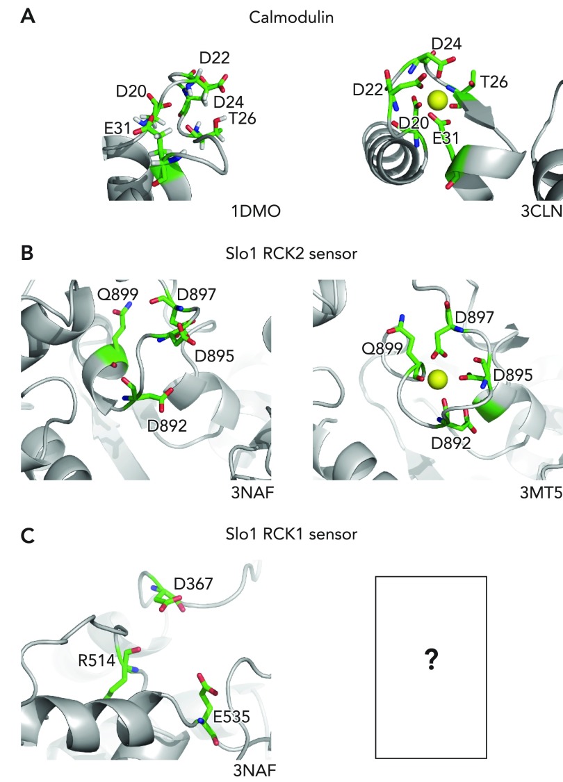 FIGURE 2.