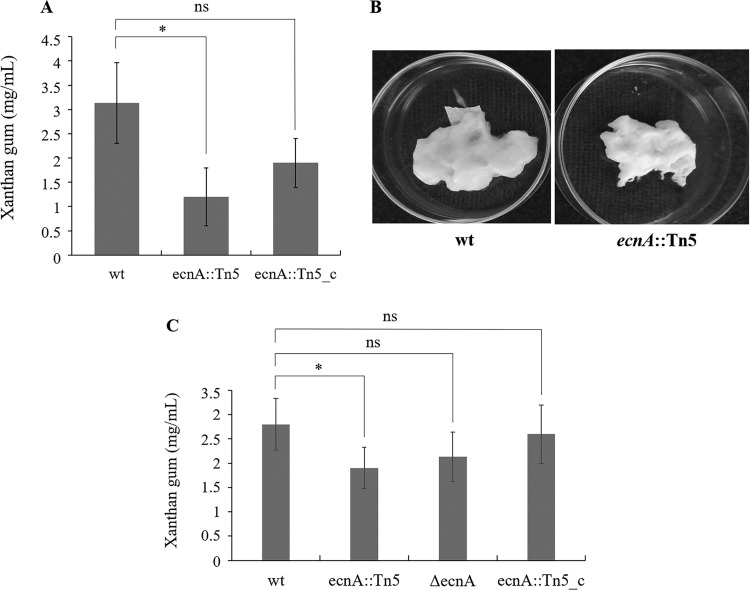 FIG 5