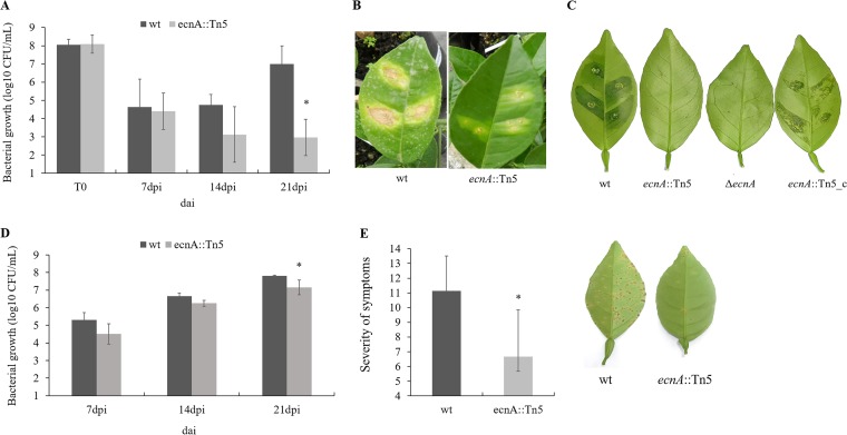 FIG 7