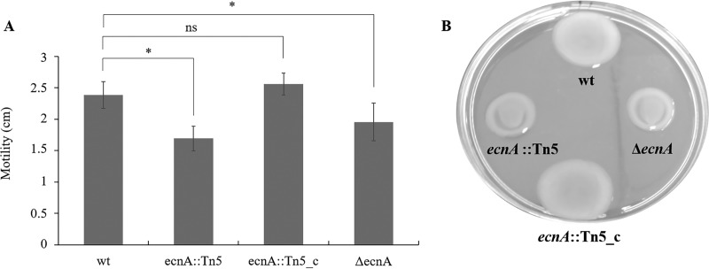 FIG 6