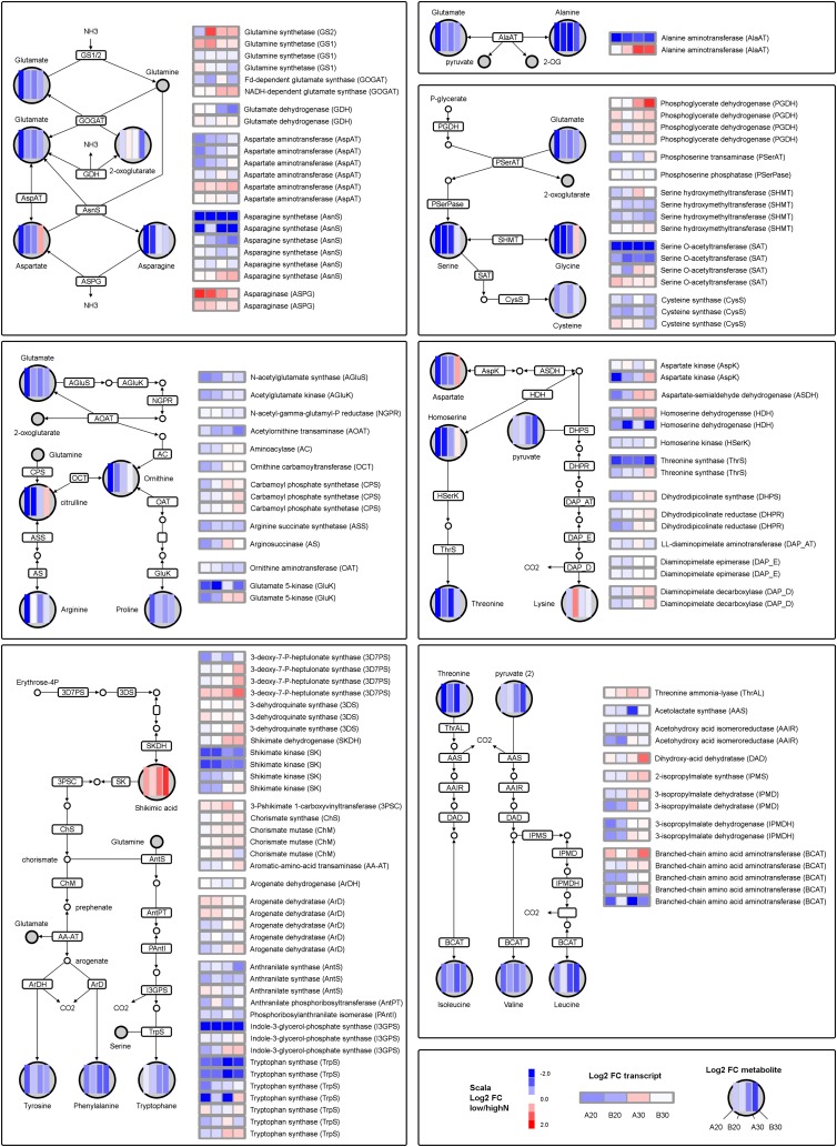 Figure 7.