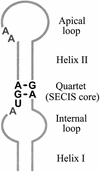 FIG. 3.