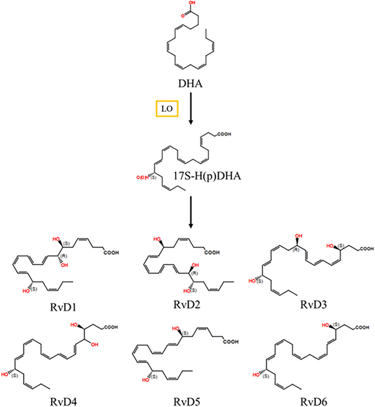 FIGURE 3