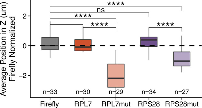 Figure 5—figure supplement 2.