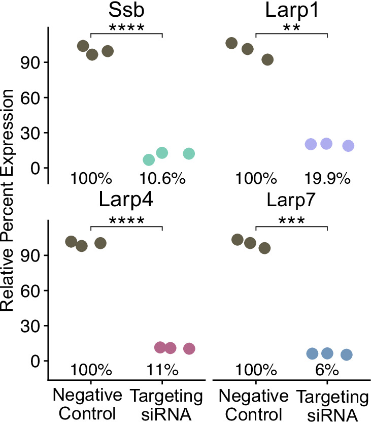 Figure 4—figure supplement 1.