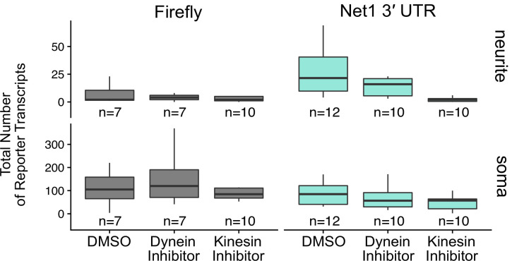 Figure 7—figure supplement 4.