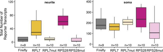 Figure 3—figure supplement 12.