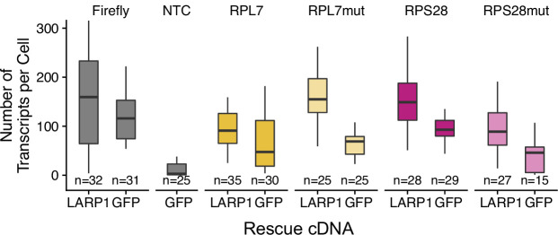 Figure 4—figure supplement 9.