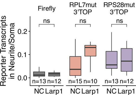 Figure 5—figure supplement 9.