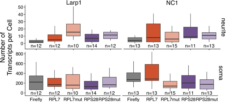 Figure 5—figure supplement 8.