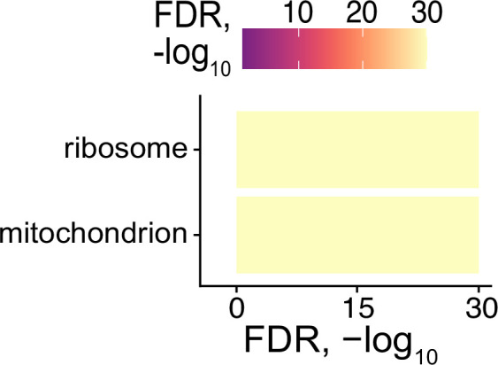 Figure 6—figure supplement 3.