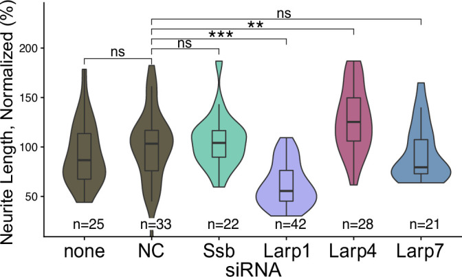 Figure 4—figure supplement 5.