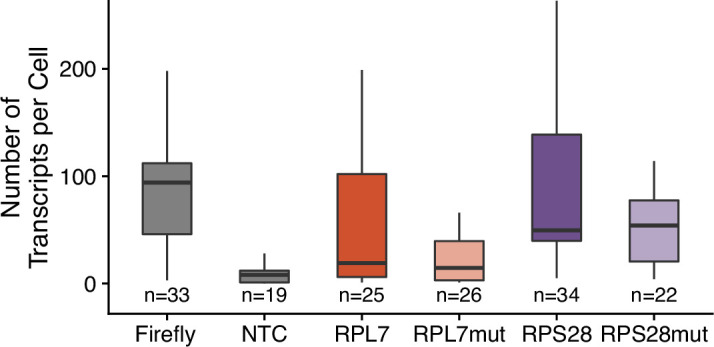 Figure 5—figure supplement 1.