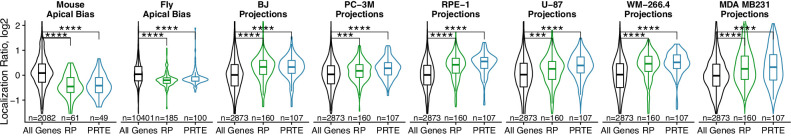 Figure 3—figure supplement 1.