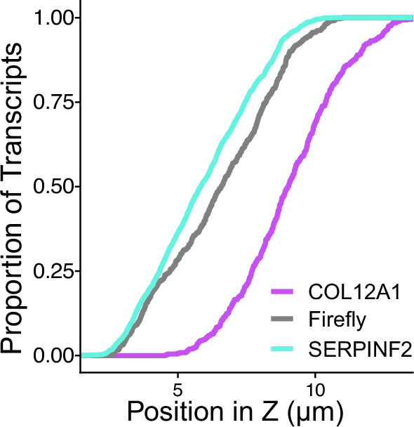 Figure 2—figure supplement 13.