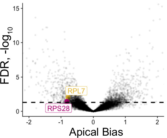 Figure 3—figure supplement 2.