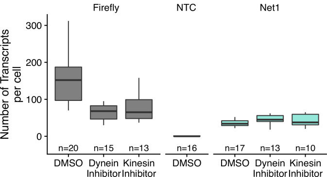 Figure 7—figure supplement 2.