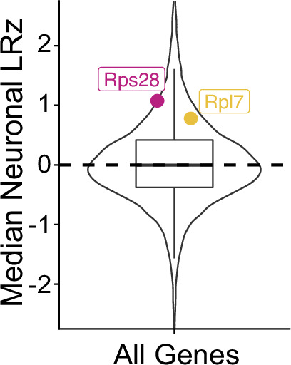 Figure 3—figure supplement 10.