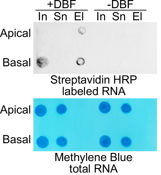 Figure 2—figure supplement 5.