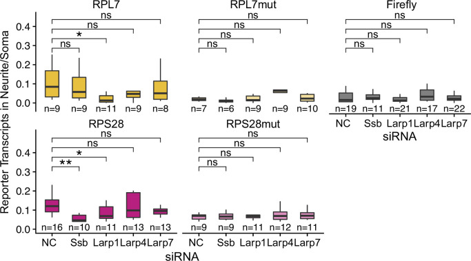 Figure 4—figure supplement 2.