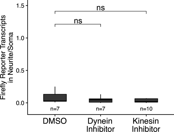 Figure 7—figure supplement 1.