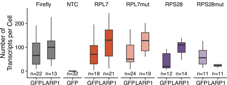 Figure 5—figure supplement 6.