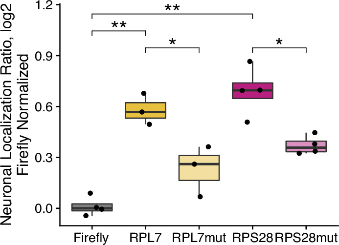 Figure 3—figure supplement 13.