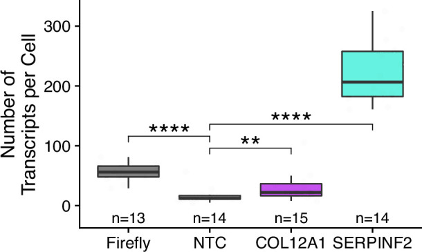 Figure 2—figure supplement 11.