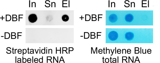 Figure 1—figure supplement 6.