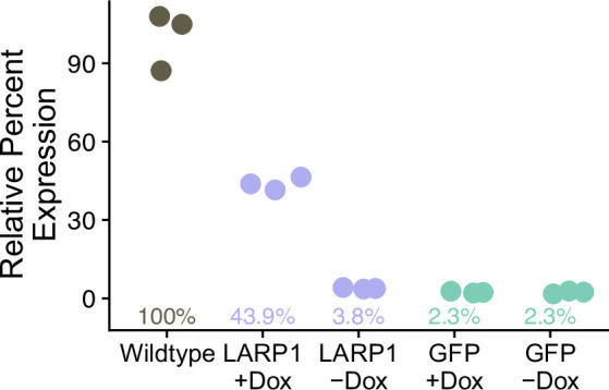 Figure 4—figure supplement 8.