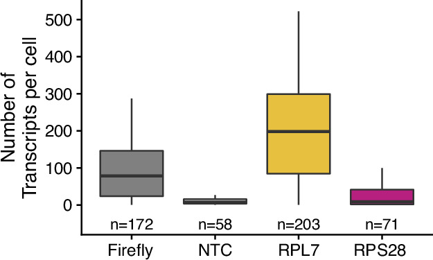 Figure 3—figure supplement 4.