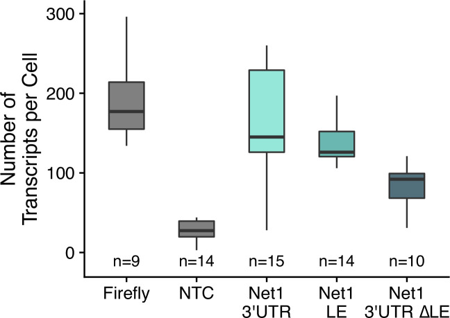 Figure 6—figure supplement 1.