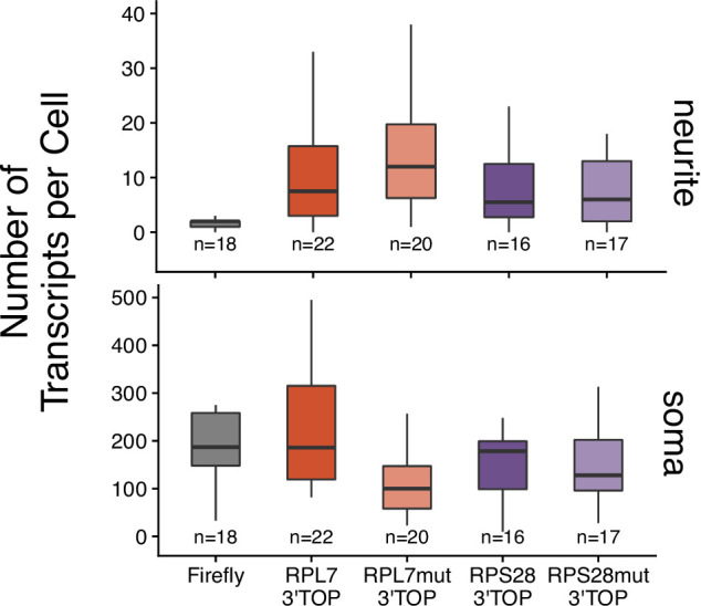 Figure 5—figure supplement 3.