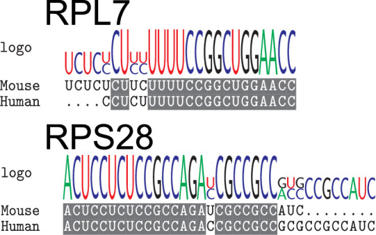 Figure 3—figure supplement 11.