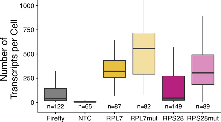 Figure 3—figure supplement 5.