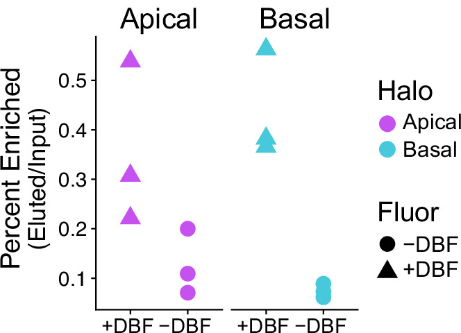 Figure 2—figure supplement 6.