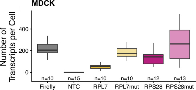 Figure 3—figure supplement 9.