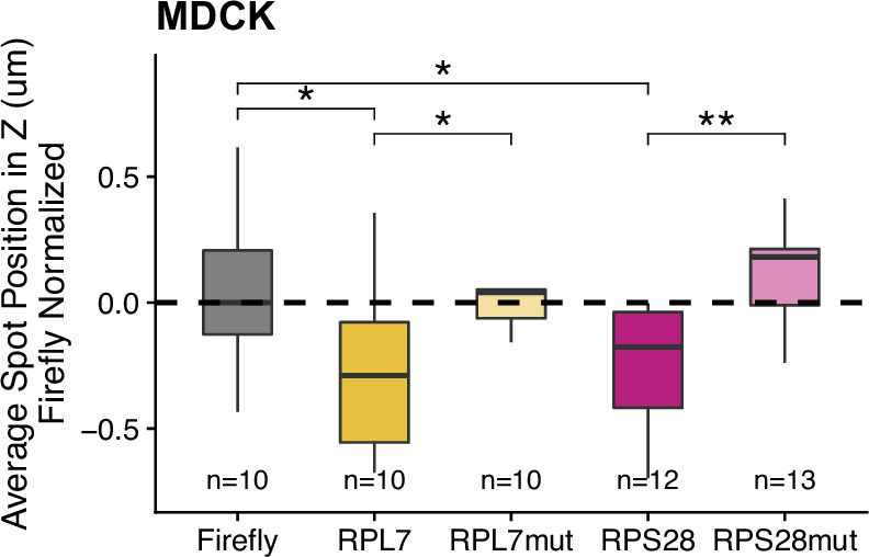 Figure 3—figure supplement 8.