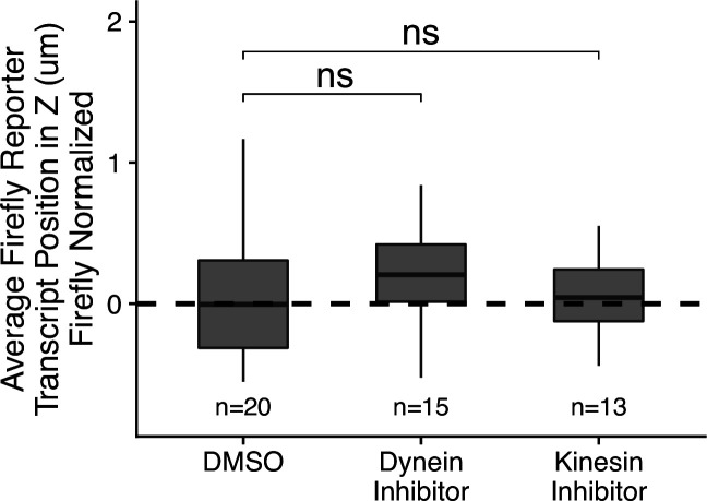 Figure 7—figure supplement 3.