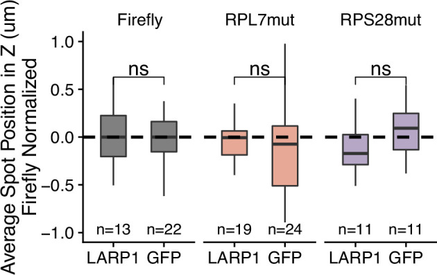 Figure 5—figure supplement 7.