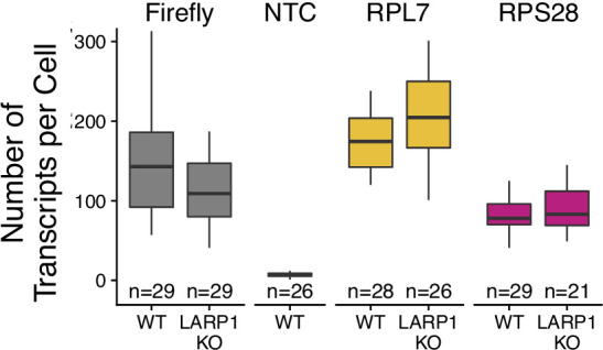 Figure 4—figure supplement 11.