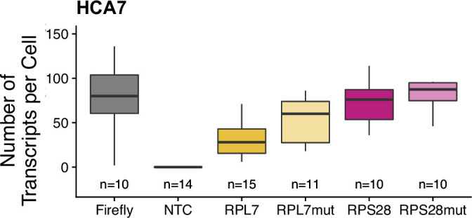 Figure 3—figure supplement 7.