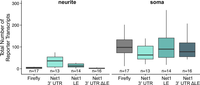 Figure 6—figure supplement 2.