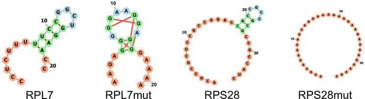 Figure 5—figure supplement 5.