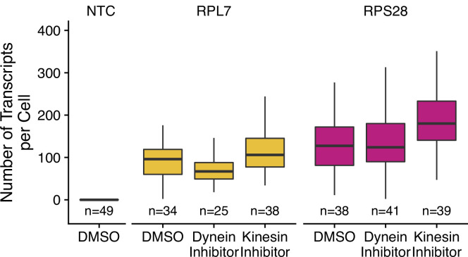 Figure 7—figure supplement 5.