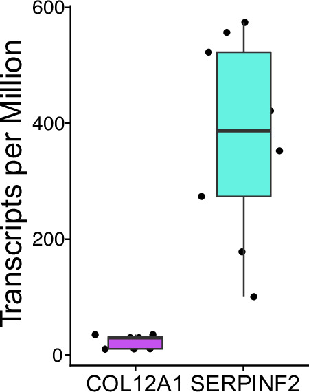 Figure 2—figure supplement 12.