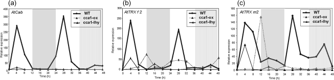 Fig. 6.